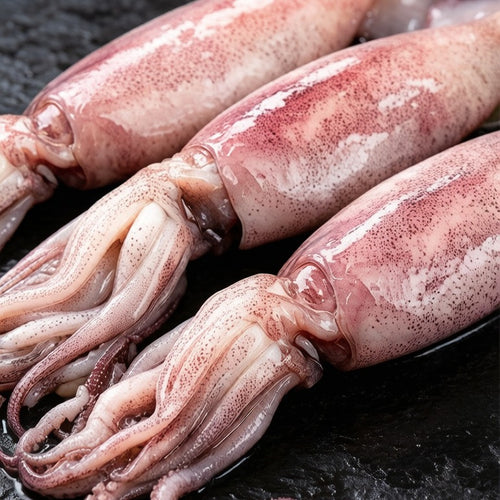 Whole raw squid arranged on crushed ice