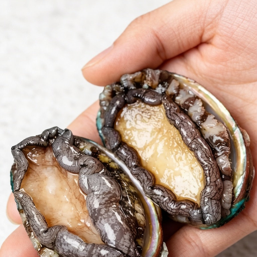 Hand holding two shucked abalone in their shells